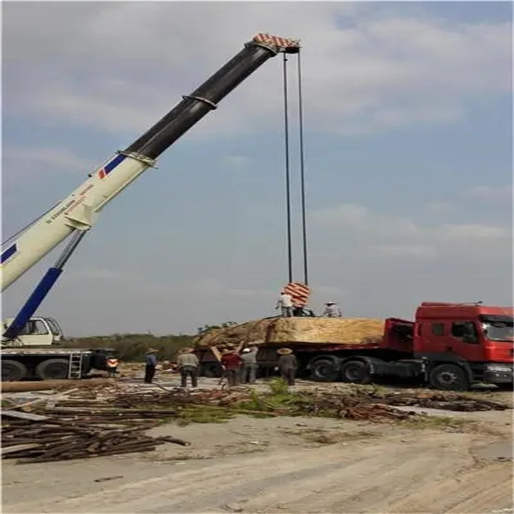 文安重型设备吊装